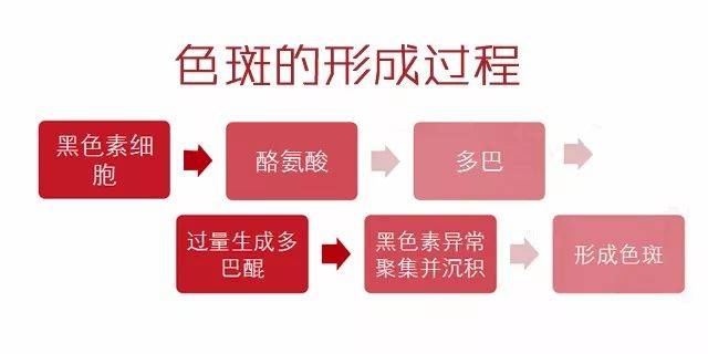 色斑是怎么形成的？如何預(yù)防色斑的產(chǎn)生？
